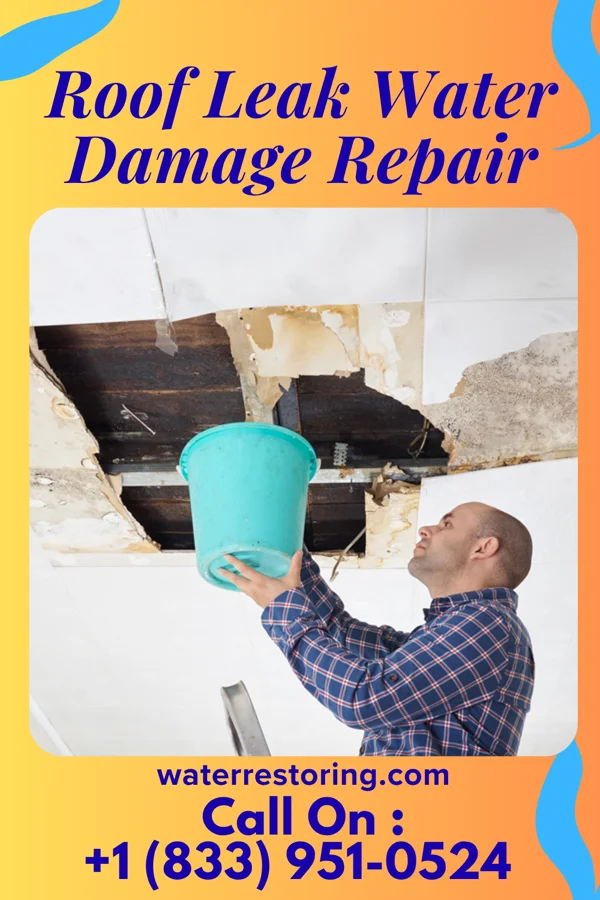 Roof Leak Water Damage Repair in Dubach, LA