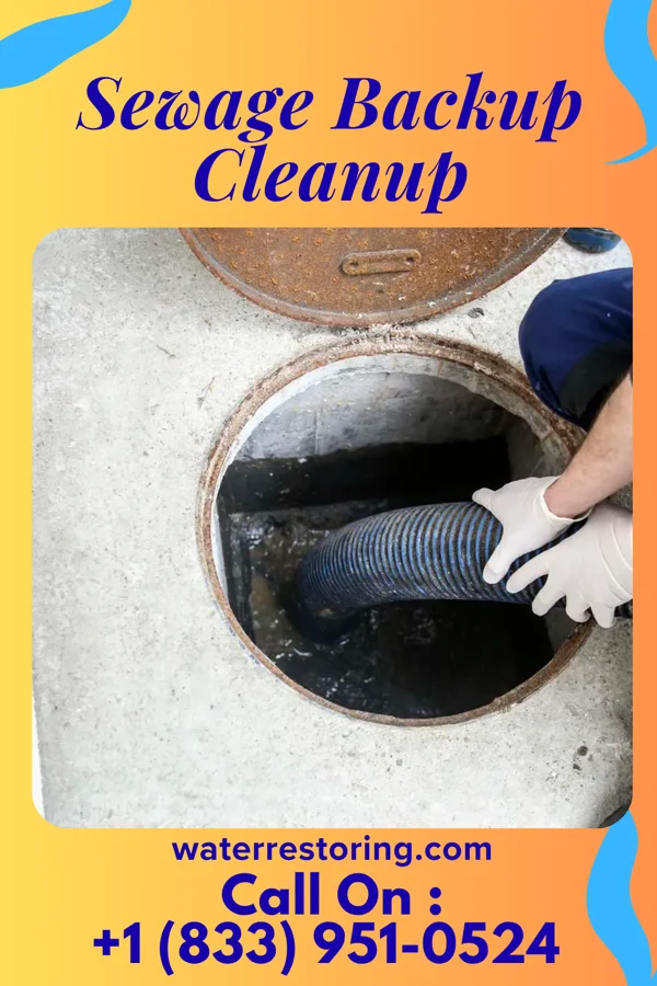 Sewage Backup Cleanup in Dubach, LA